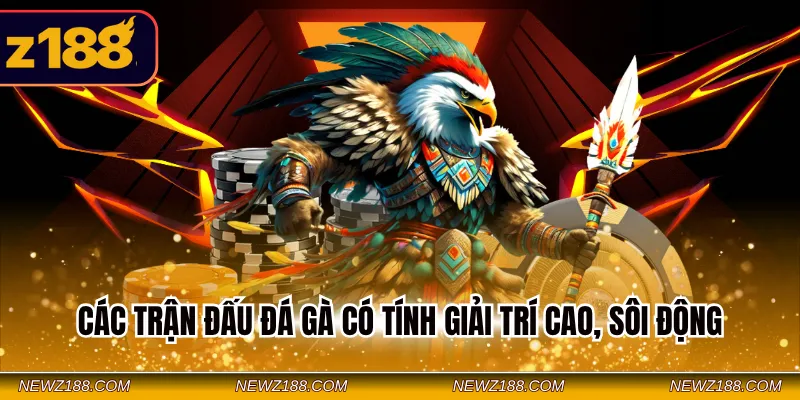 Các trận đấu đá gà có tính giải trí cao, sôi động