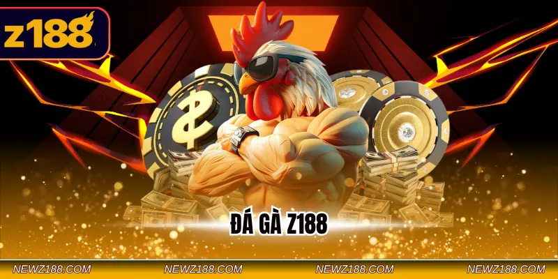 Đá gà Z188