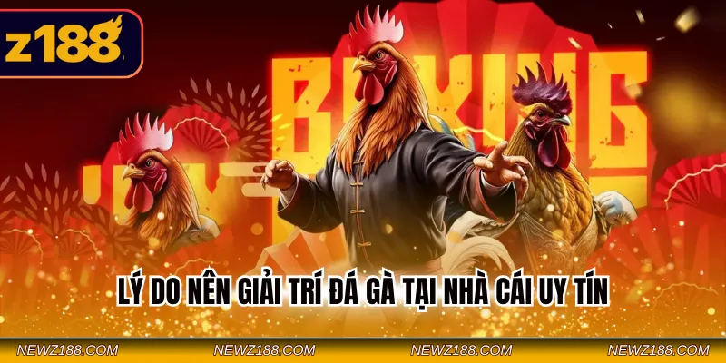 Lý do nên giải trí đá gà tại nhà cái uy tín